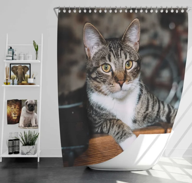 Cat Elegant Gaze Mysterious Charm Shower Curtain