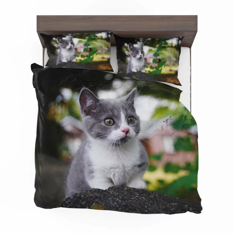 Cat Endangered Bedding Set 1