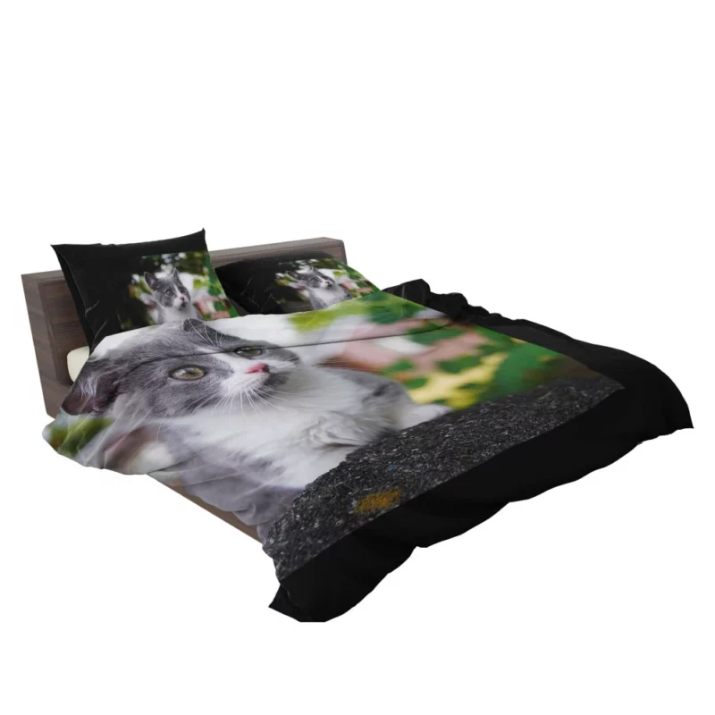 Cat Endangered Bedding Set 2