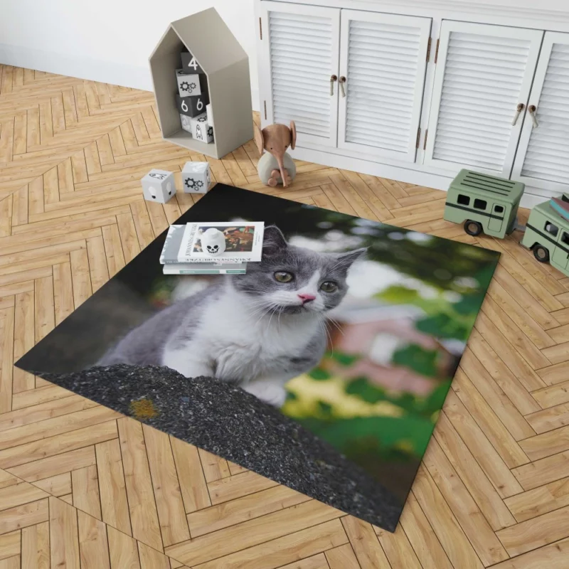 Cat Endangered Rug 1