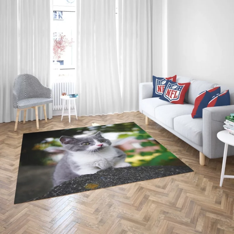 Cat Endangered Rug 2