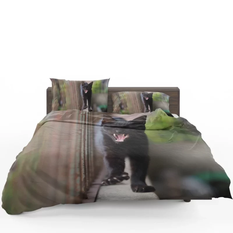 Cat Enigmatic Aura Bedding Set