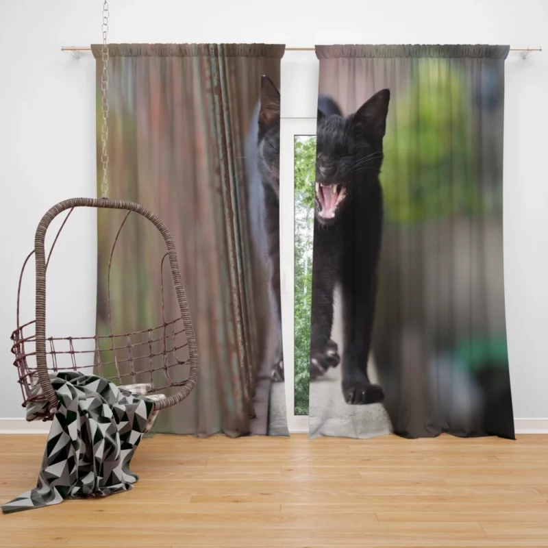 Cat Enigmatic Aura Curtain