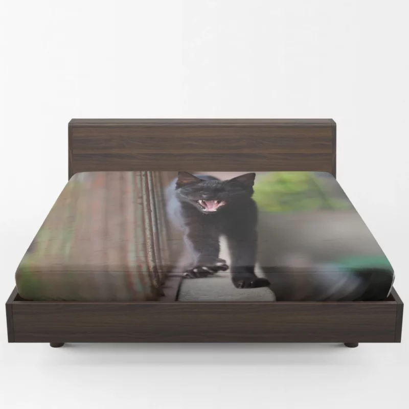 Cat Enigmatic Aura Fitted Sheet