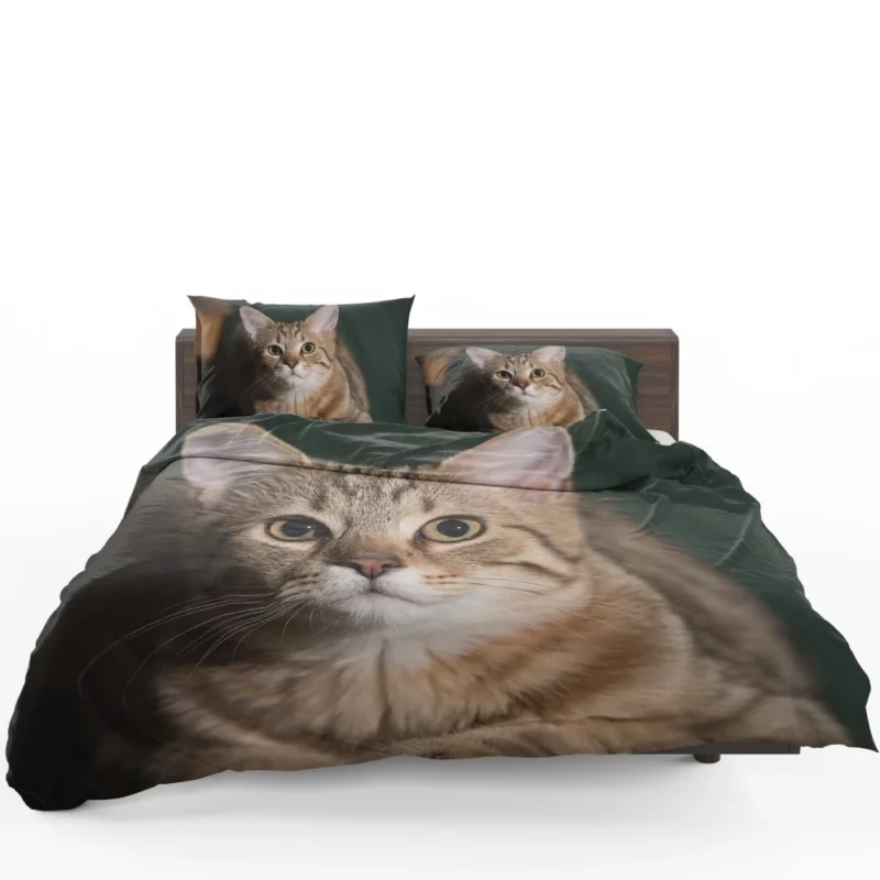 Cat Enigmatic Gaze Bedding Set