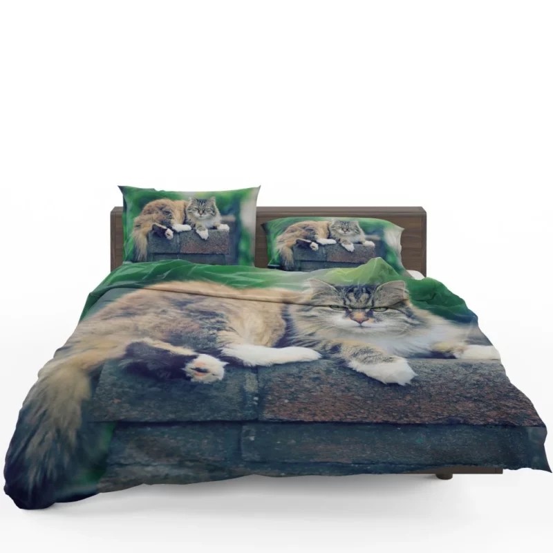 Cat Enigmatic Gaze Feline Intrigue Bedding Set