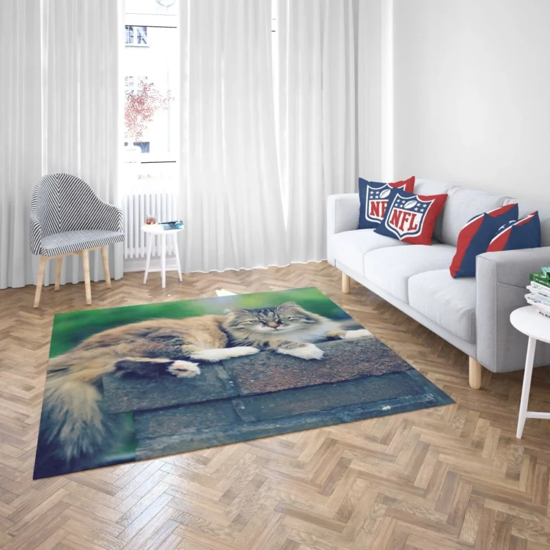 Cat Enigmatic Gaze Feline Intrigue Rug 2