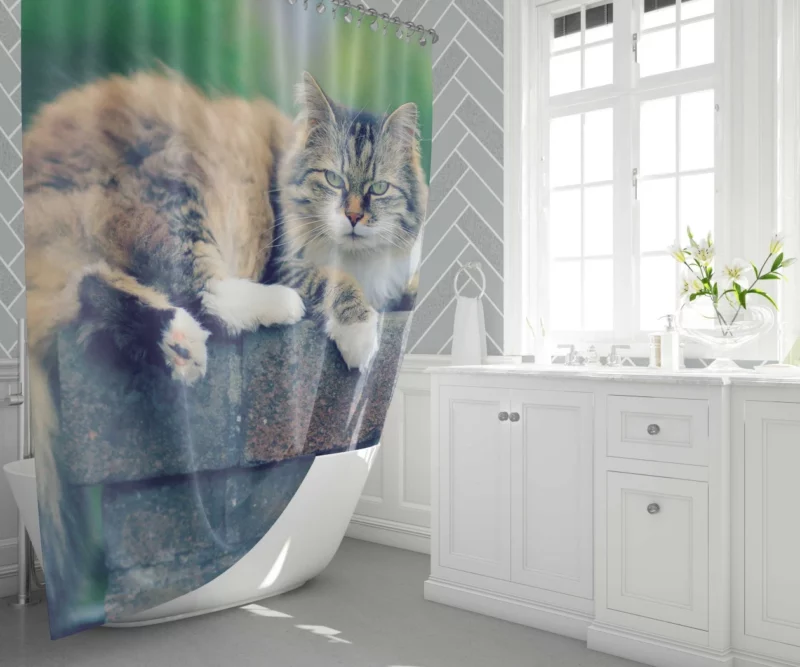 Cat Enigmatic Gaze Feline Intrigue Shower Curtain 1