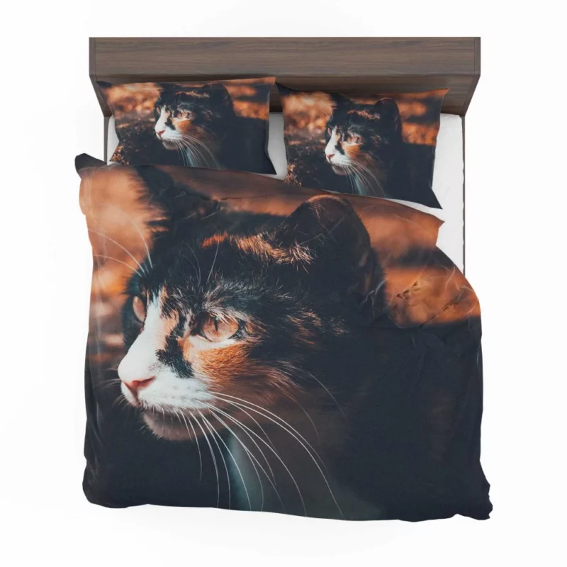 Cat Enigmatic Gaze Feline Mystery Bedding Set 1