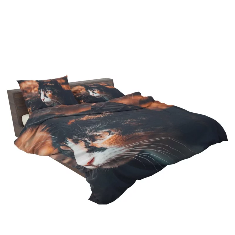 Cat Enigmatic Gaze Feline Mystery Bedding Set 2