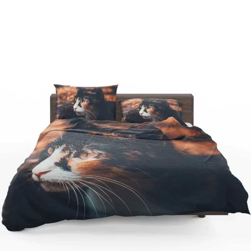 Cat Enigmatic Gaze Feline Mystery Bedding Set