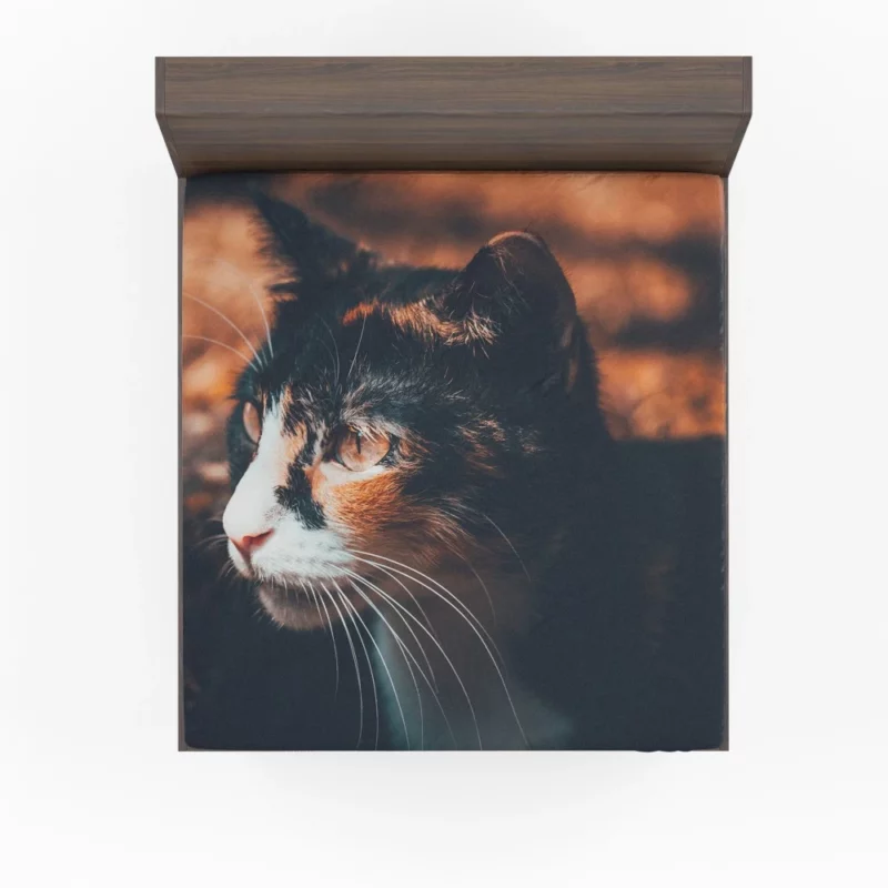 Cat Enigmatic Gaze Feline Mystery Fitted Sheet 1