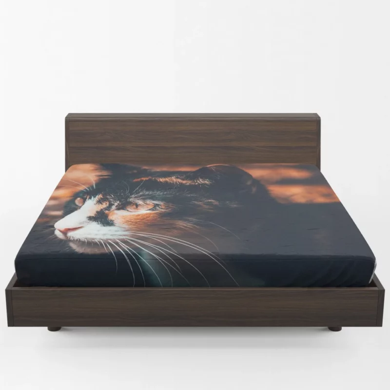 Cat Enigmatic Gaze Feline Mystery Fitted Sheet