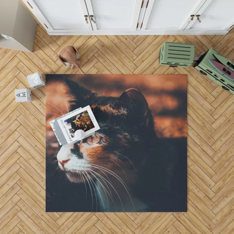 Cat Enigmatic Gaze Feline Mystery Rug