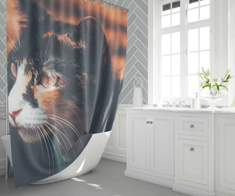 Cat Enigmatic Gaze Feline Mystery Shower Curtain 1