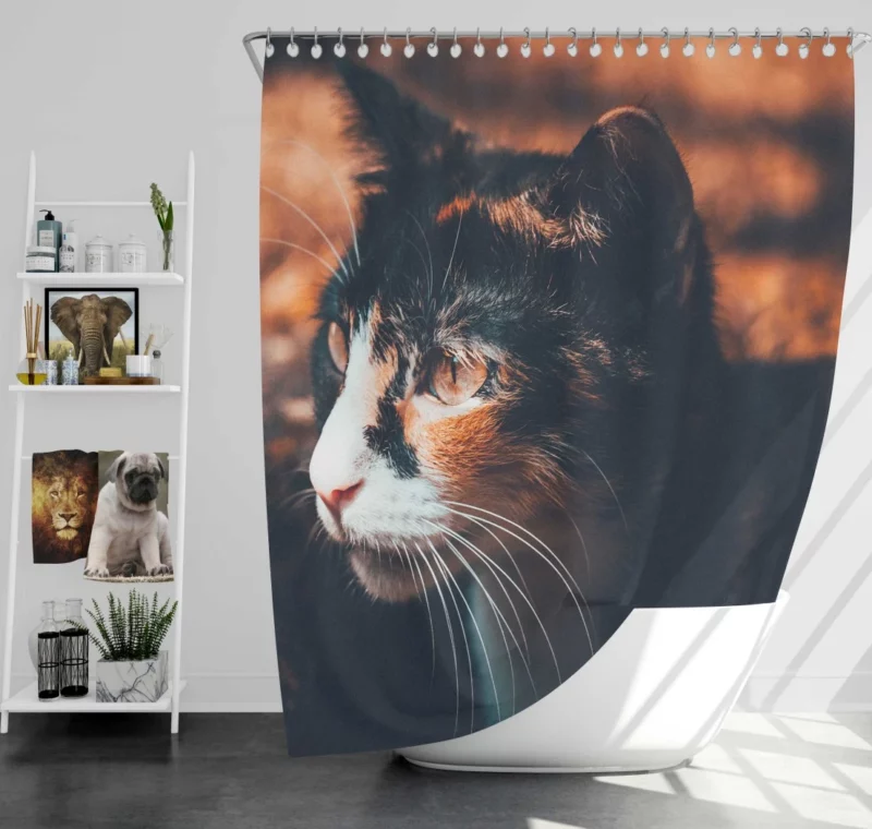 Cat Enigmatic Gaze Feline Mystery Shower Curtain