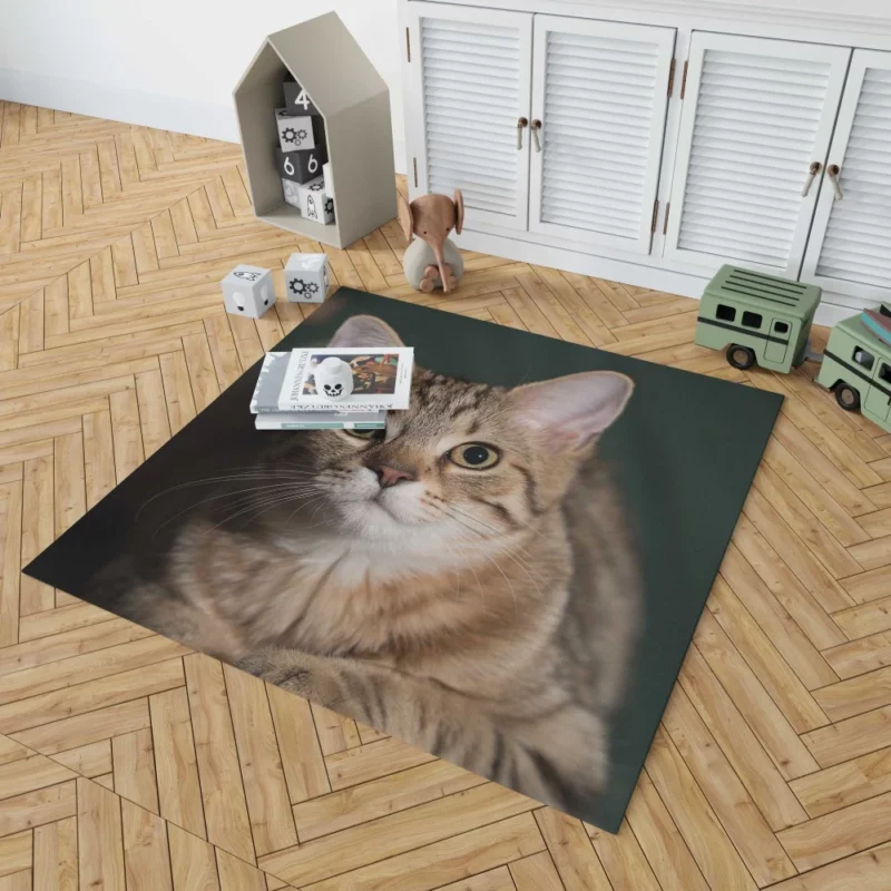 Cat Enigmatic Gaze Rug 1