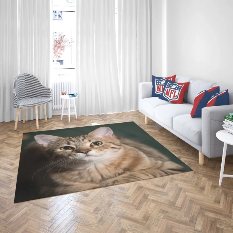 Cat Enigmatic Gaze Rug 2