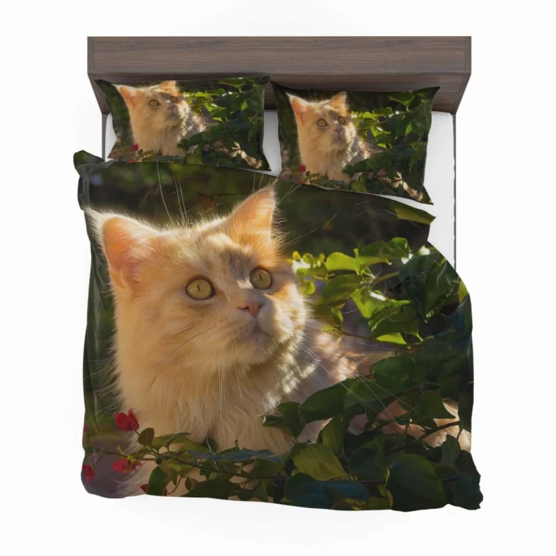 Cat Enigmatic Presence Mysterious Gaze Bedding Set 1