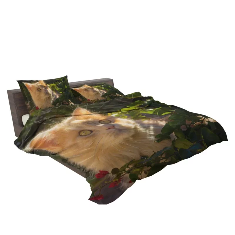 Cat Enigmatic Presence Mysterious Gaze Bedding Set 2