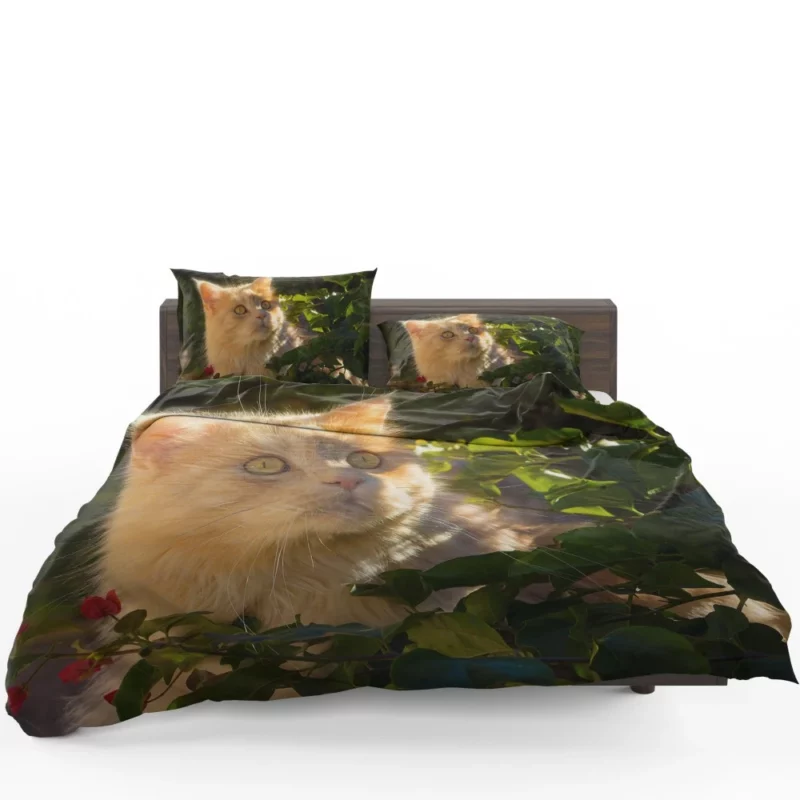 Cat Enigmatic Presence Mysterious Gaze Bedding Set