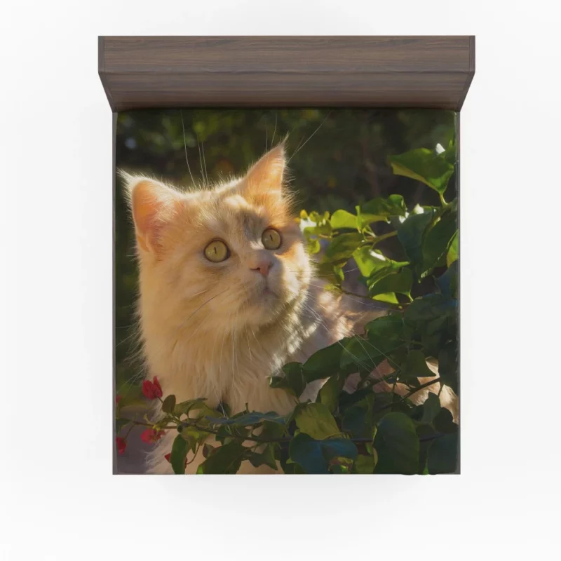 Cat Enigmatic Presence Mysterious Gaze Fitted Sheet 1