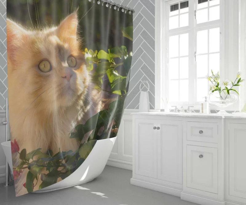 Cat Enigmatic Presence Mysterious Gaze Shower Curtain 1