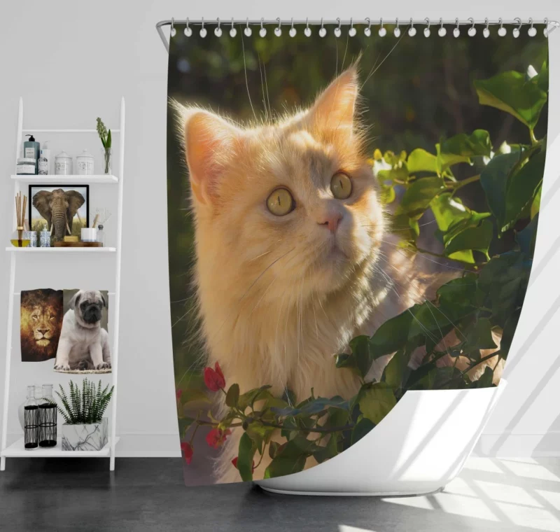 Cat Enigmatic Presence Mysterious Gaze Shower Curtain