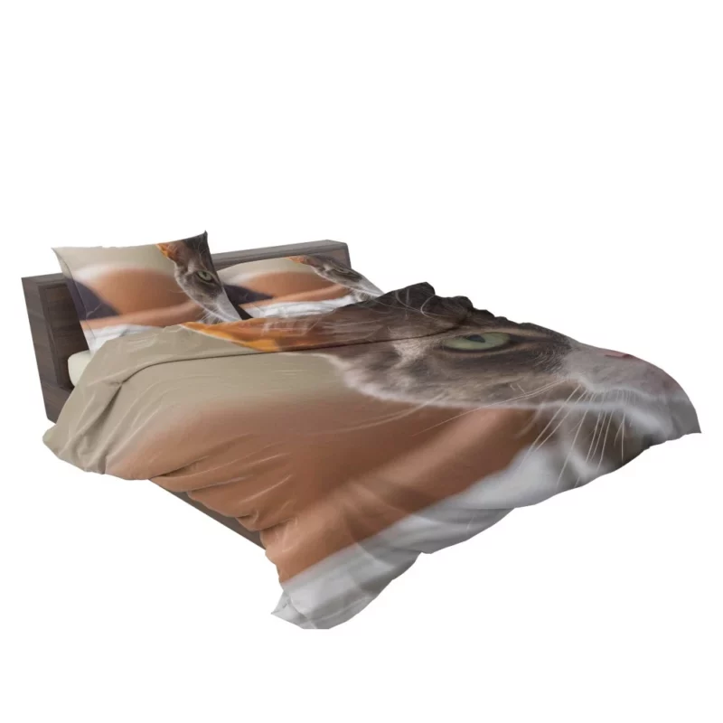 Cat Enigmatic Stare Feline Fascination Bedding Set 2