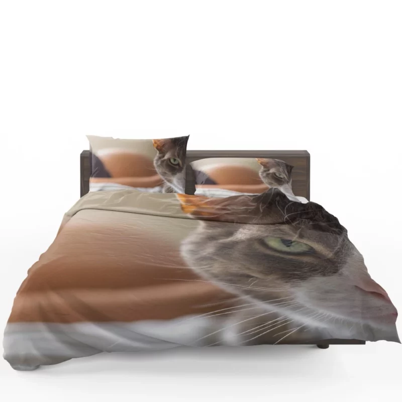 Cat Enigmatic Stare Feline Fascination Bedding Set