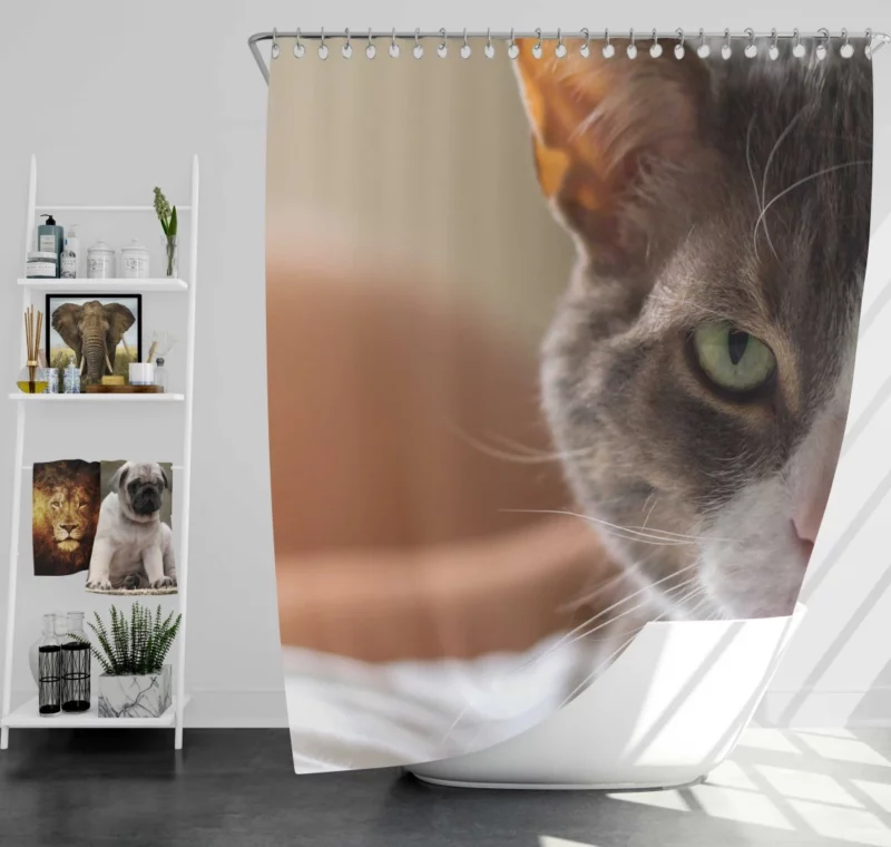 Cat Enigmatic Stare Feline Fascination Shower Curtain