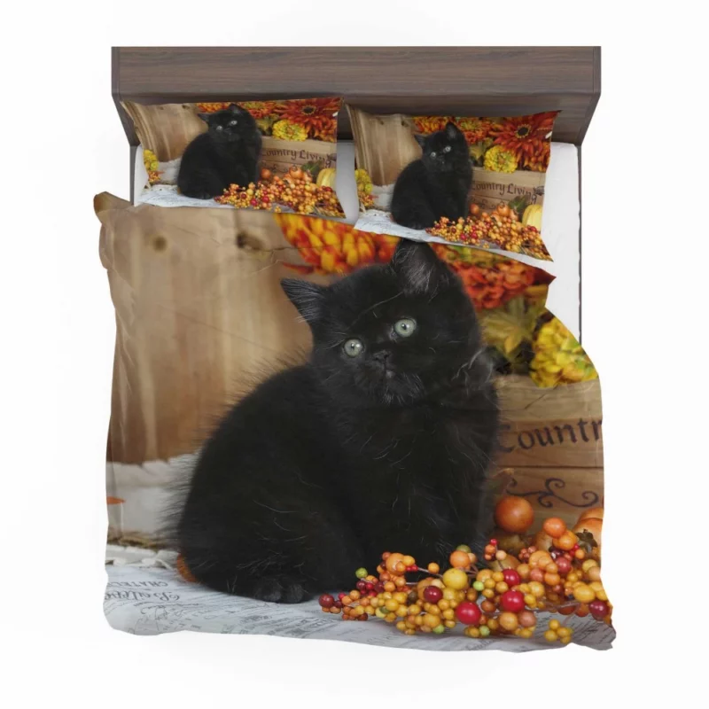 Cat Enigmatic Stare Feline Intrigue Bedding Set 1