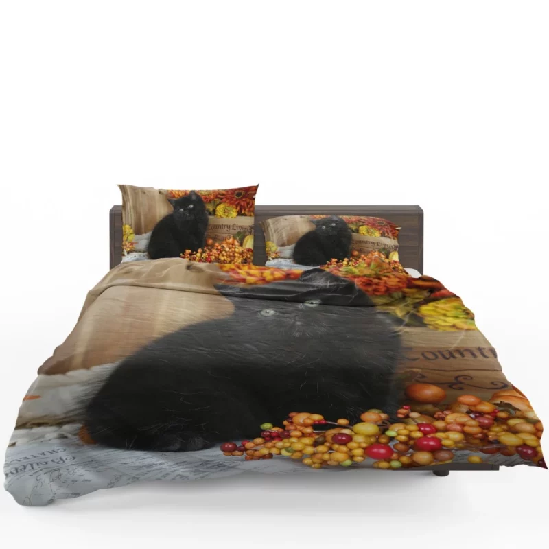 Cat Enigmatic Stare Feline Intrigue Bedding Set