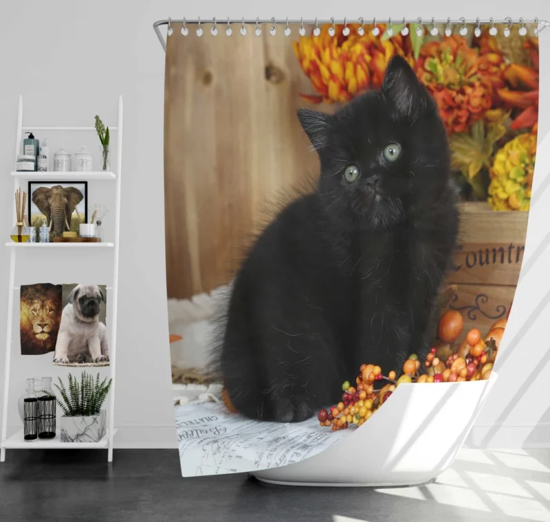 Cat Enigmatic Stare Feline Intrigue Shower Curtain