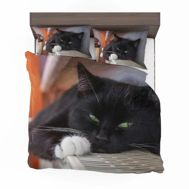 Cat Enigmatic Stare Feline Mystery Bedding Set 1