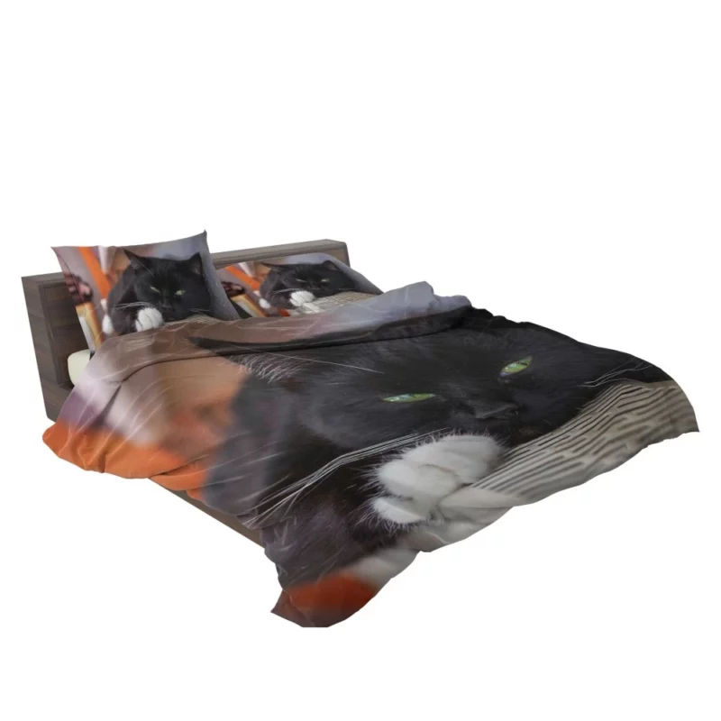 Cat Enigmatic Stare Feline Mystery Bedding Set 2