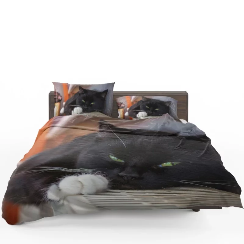 Cat Enigmatic Stare Feline Mystery Bedding Set