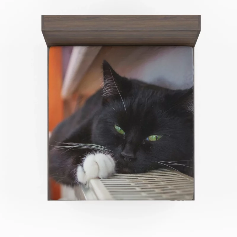 Cat Enigmatic Stare Feline Mystery Fitted Sheet 1