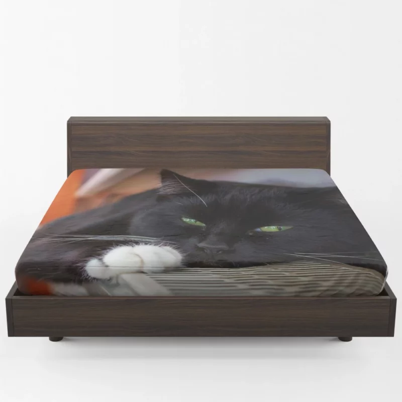 Cat Enigmatic Stare Feline Mystery Fitted Sheet