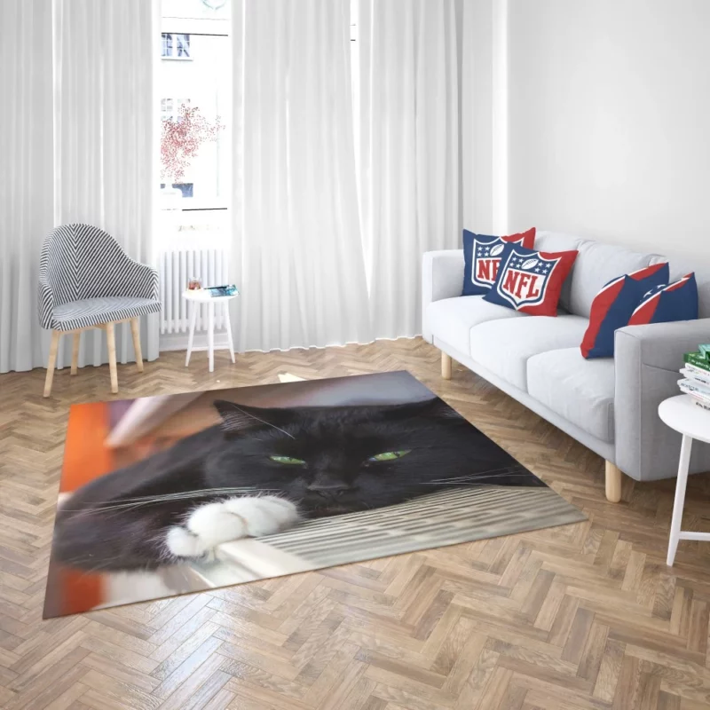 Cat Enigmatic Stare Feline Mystery Rug 2