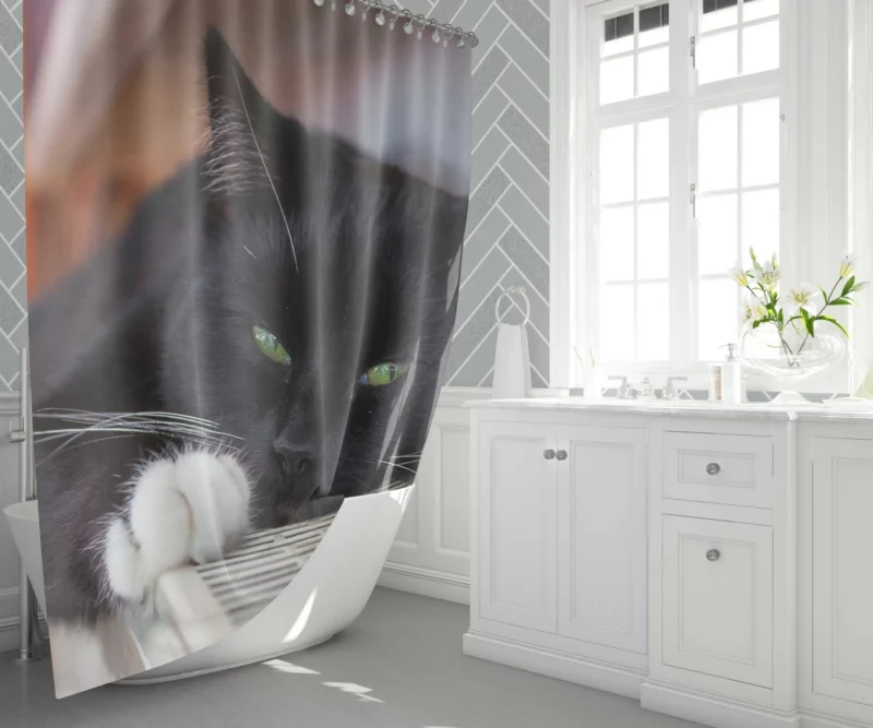 Cat Enigmatic Stare Feline Mystery Shower Curtain 1