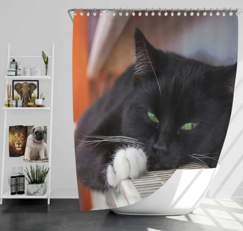 Cat Enigmatic Stare Feline Mystery Shower Curtain