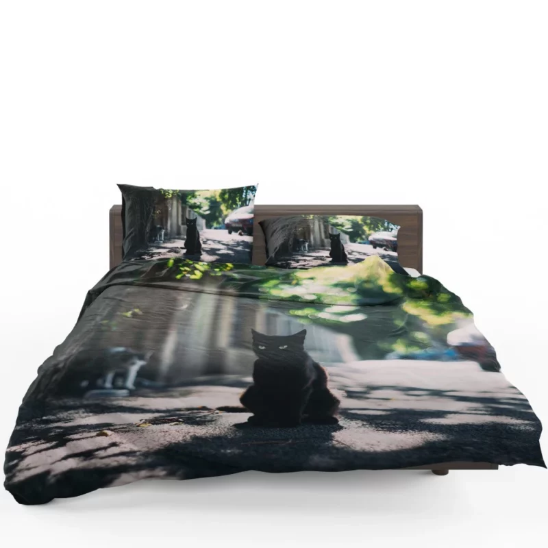 Cat Enigmatic Stare Sunny Intrigue Bedding Set