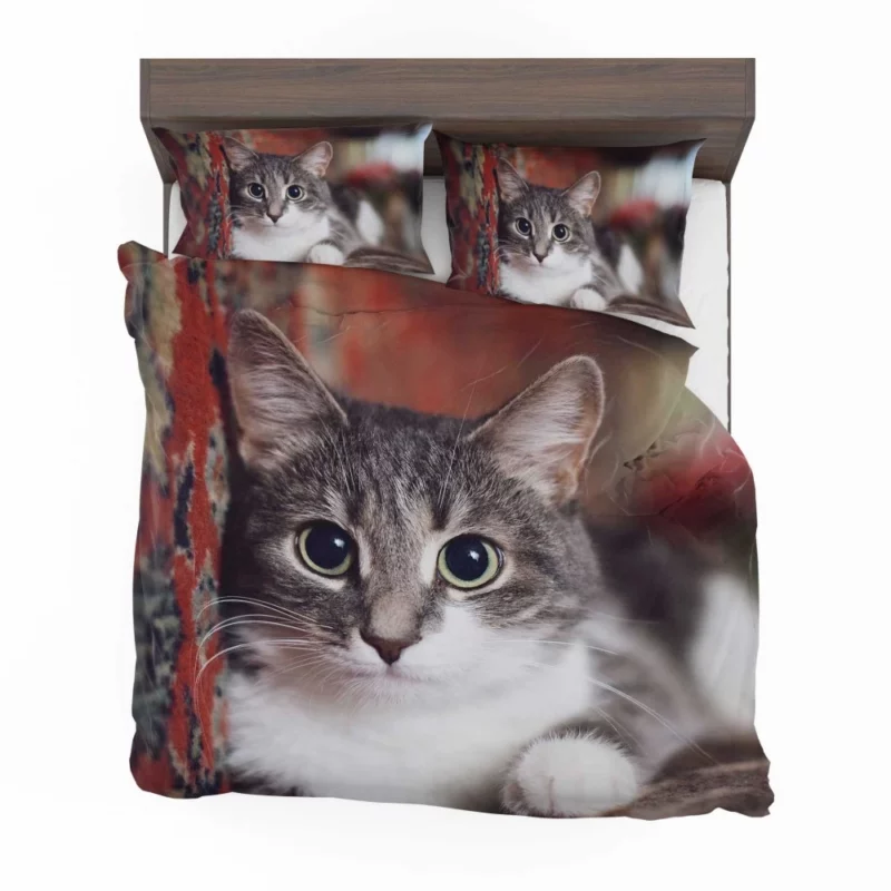 Cat Expressive Gaze Feline Intrigue Bedding Set 1