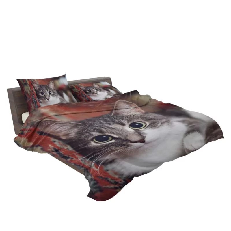 Cat Expressive Gaze Feline Intrigue Bedding Set 2