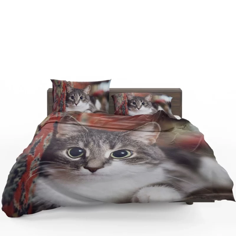 Cat Expressive Gaze Feline Intrigue Bedding Set