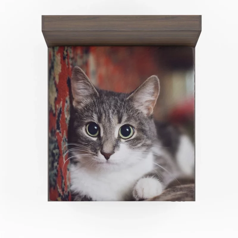 Cat Expressive Gaze Feline Intrigue Fitted Sheet 1