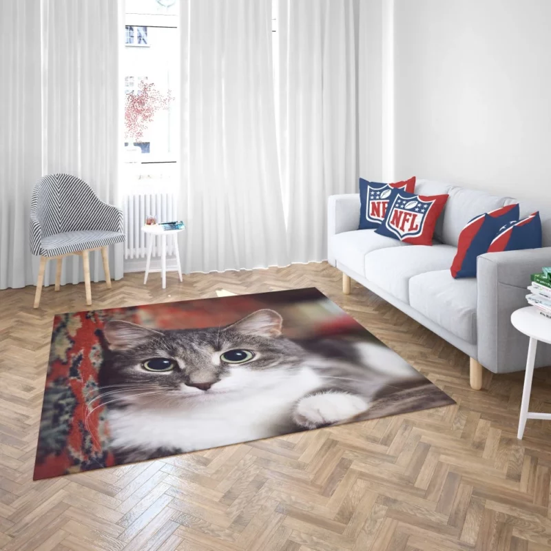 Cat Expressive Gaze Feline Intrigue Rug 2