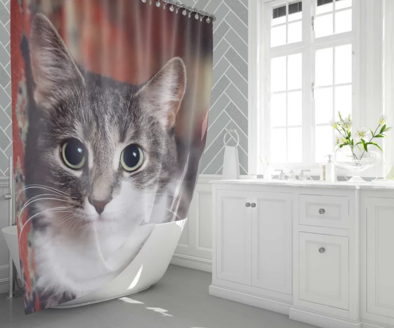 Cat Expressive Gaze Feline Intrigue Shower Curtain 1