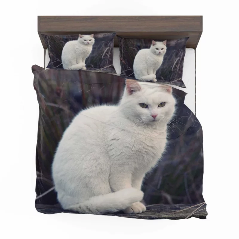 Cat Expressive Persona Bedding Set 1